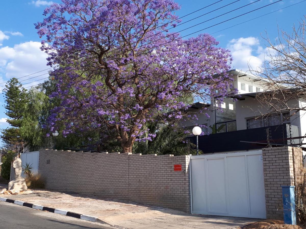 Suiderhof Self-Catering Hotel Windhoek Exterior photo